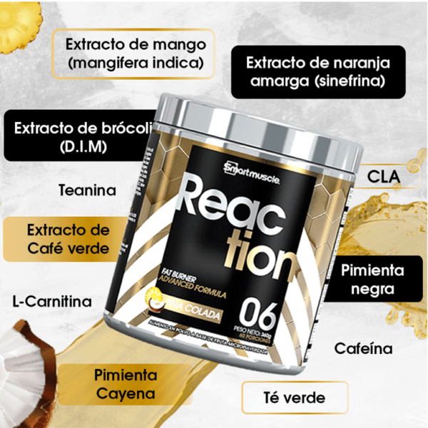 Reaction 60 Servicios I Smart Muscle - Imagen 3